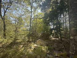 (PID 70241864) Wellington Road  None, NS B0T 1E0