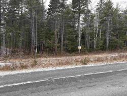 554 Perrin Drive  None, NS B2T 1J6