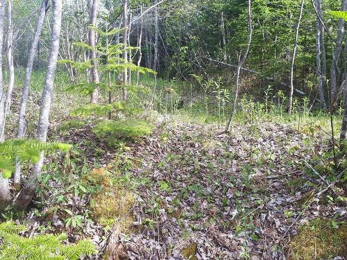 Lot 15 Walkerville Rd.,, Walkerville, NS 