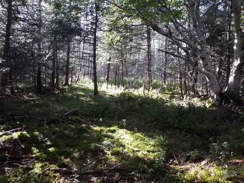 Lot 15 Walkerville Rd.,, Walkerville, NS 