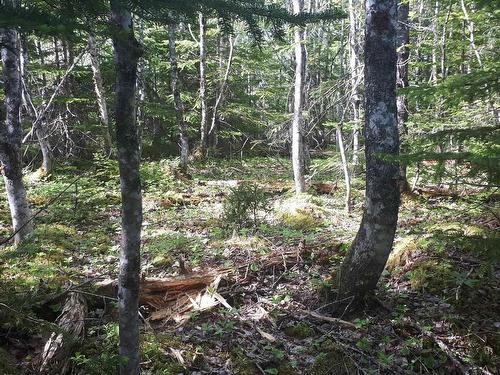 Lot 15 Walkerville Rd.,, Walkerville, NS 