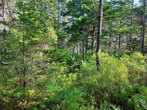 Lot 16 Walkerville Rd., Walkerville, NS 