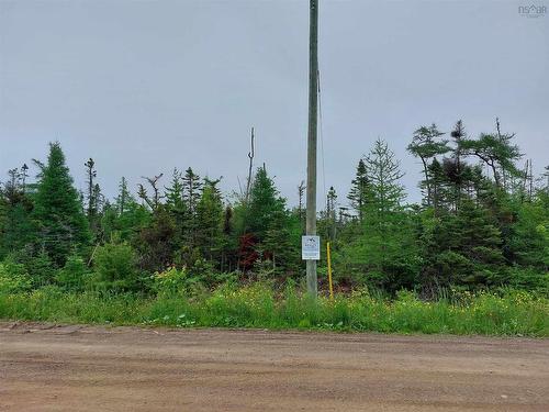 Lot 16 Walkerville Rd., Walkerville, NS 