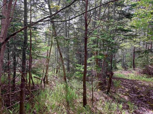 Lot 16 Walkerville Rd., Walkerville, NS 