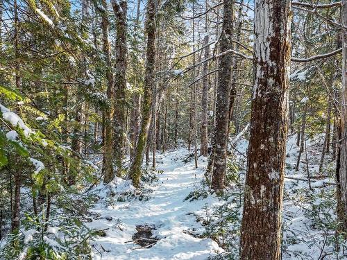 Lot 3 Stamping Mill Lane, Chester Basin, NS 