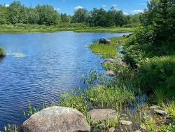 Lot 29 Salmon Run Road  Newburne, NS B0J 2E0