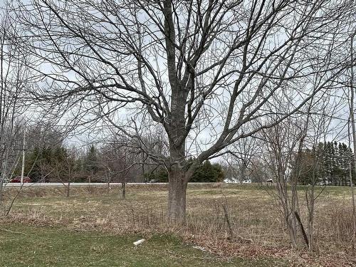 Lot Highway 215, Bramber, NS 