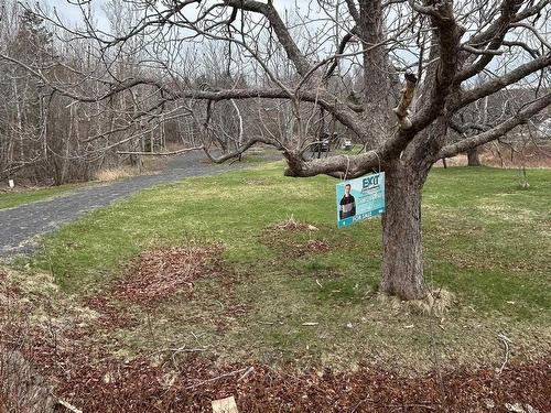 Lot Highway 215, Bramber, NS 