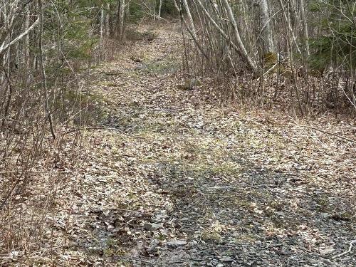 Lot Highway 215, Bramber, NS 