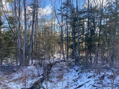 Pid: 60446457 Newburne Road, Newburne, NS 