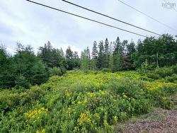 Lot 24-10 East Mountain Road  East Mountain, NS B6L 2E3