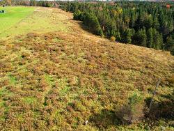 Lot 24-1 Old East Mountain Road  East Mountain, NS B6L 2L3