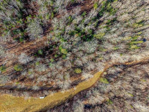 Fuller Road, Bishopville, NS 