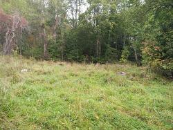 793 Lahave Street  Bridgewater, NS B4V 2V2