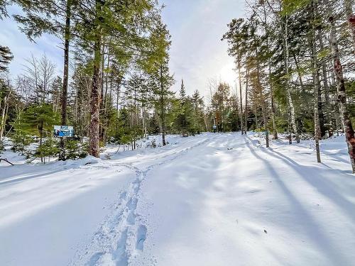 Lot 9 Conquerall Road, Conquerall Bank, NS 