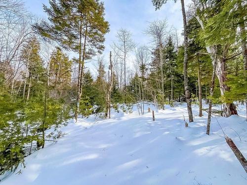 Lot 9 Conquerall Road, Conquerall Bank, NS 