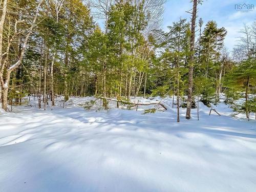 Lot 9 Conquerall Road, Conquerall Bank, NS 