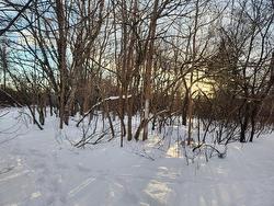 8 Acres Cedar Road  Maitland, NS B0N 1T0