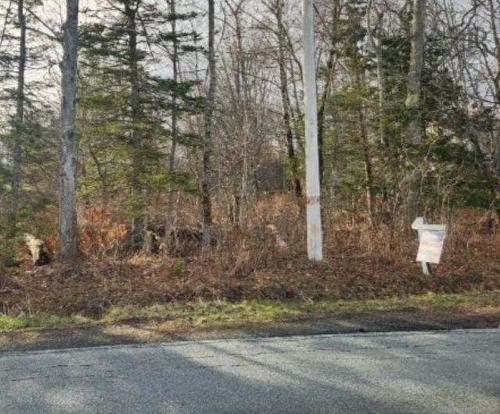 8 Acres Cedar Road, Maitland, NS 