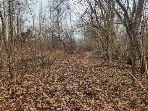 8 Acres Cedar Road, Maitland, NS 
