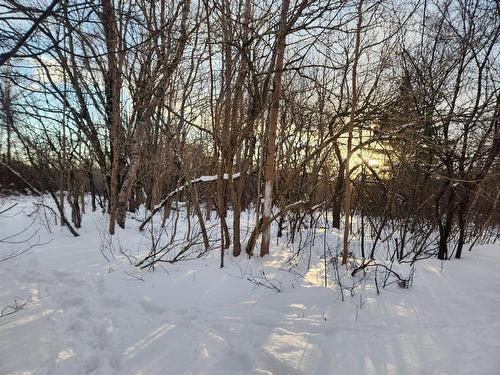 8 Acres Cedar Road, Maitland, NS 