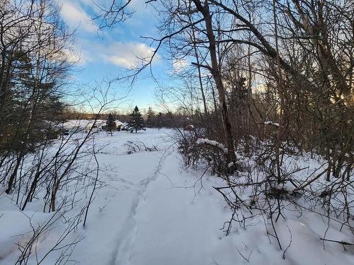 8 Acres Cedar Road, Maitland, NS 