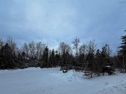 lot 154-156 Old Court House Branch  None, NS B6L 4H3