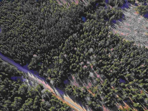 Old Monastery Road, North Riverside, NS 