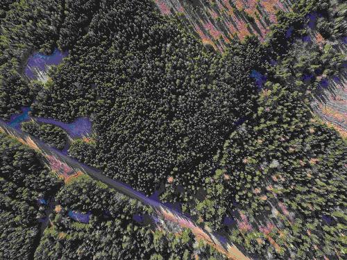 Old Monastery Road, North Riverside, NS 