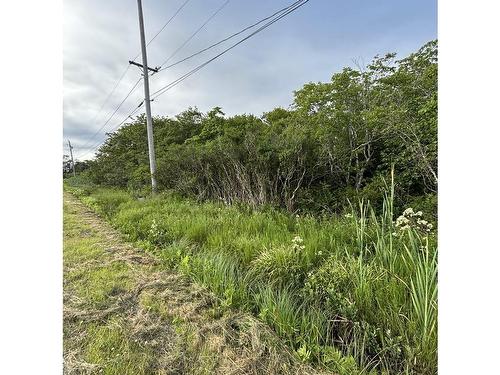 Highway 1, Church Point, NS 