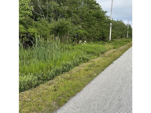 Highway 1, Church Point, NS 