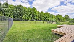 Views from the backyard - 