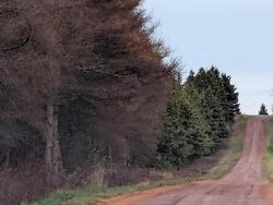 Acreage Jack Eloi Road  St. Chrysostome, PE C0B 1Y0