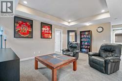 Family room? Man cave? Movie night zone? - 