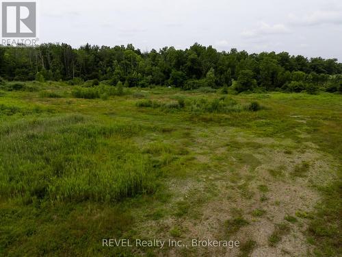 9940 Biggar Road, Niagara Falls (Schisler), ON 