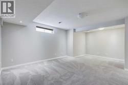 Huge finished basement - 