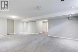 Lower level rec room - 