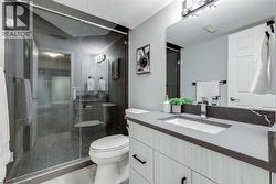 Lower level bathroom fully renovated - 