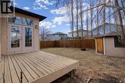 Mature trees for privacy - 