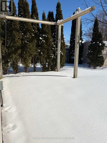 6 Bush Street, Collingwood, ON - Outdoor