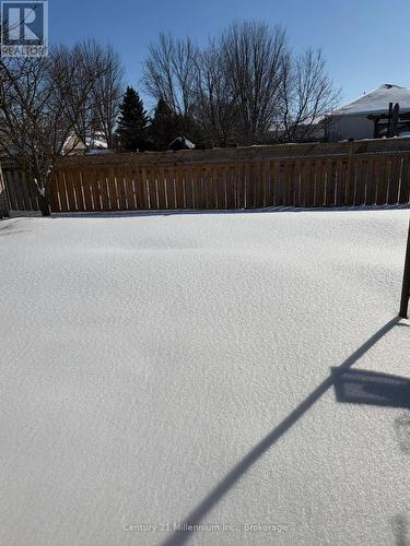 6 Bush Street, Collingwood, ON - Outdoor