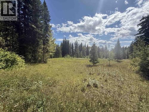 4487 Dick Road, Quesnel, BC - Outdoor With View