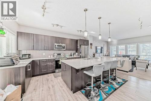 57 Cornerstone Manor Ne, Calgary, AB - Indoor Photo Showing Kitchen With Double Sink With Upgraded Kitchen