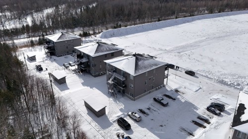 Aerial View - 245 Boul. Louis-Joseph-Papineau, Cowansville, QC - Outdoor