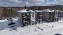 Aerial View - 245 Boul. Louis-Joseph-Papineau, Cowansville, QC  - Outdoor 