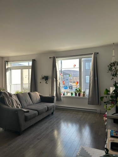 Interior - 300-115 Rue D'Halifax, Cowansville, QC - Indoor Photo Showing Living Room