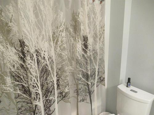 103 1230 Dawson Road, Thunder Bay, ON - Indoor Photo Showing Bathroom