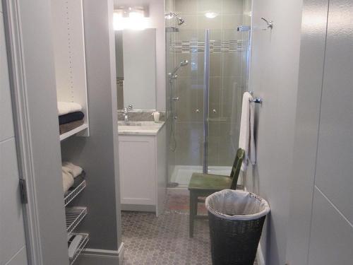 103 1230 Dawson Road, Thunder Bay, ON - Indoor Photo Showing Bathroom