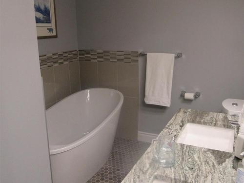 103 1230 Dawson Road, Thunder Bay, ON - Indoor Photo Showing Bathroom