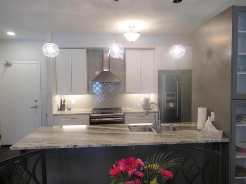 103 1230 Dawson Road, Thunder Bay, ON - Indoor Photo Showing Kitchen With Double Sink With Upgraded Kitchen